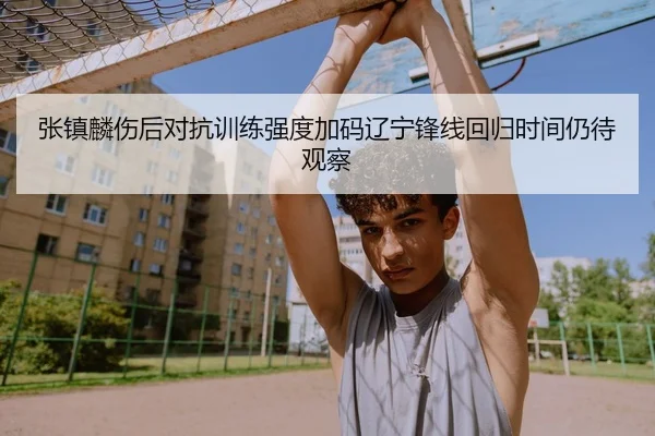 张镇麟伤后对抗训练强度加码辽宁锋线回归时间仍待观察