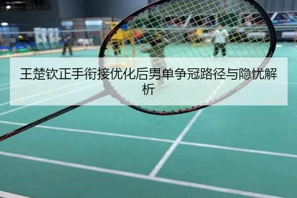 王楚钦正手衔接优化后男单争冠路径与隐忧解析